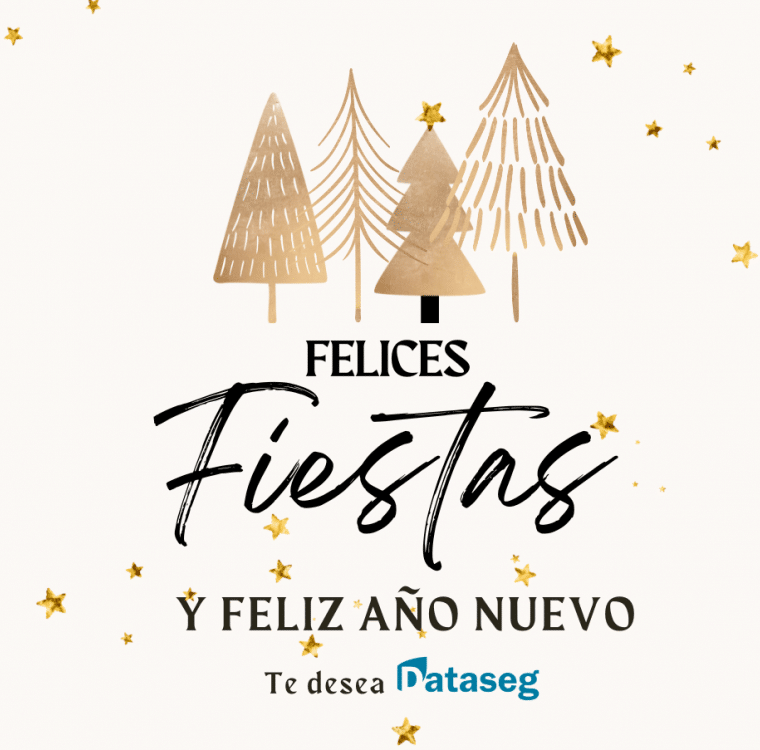 Te deseamos Feliz Navidad y Feliz año nuevo 2024